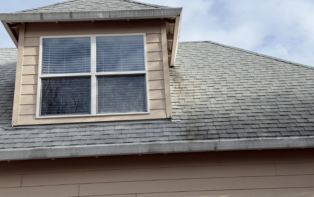 Black Streaks on Hillsboro homeowner Roof