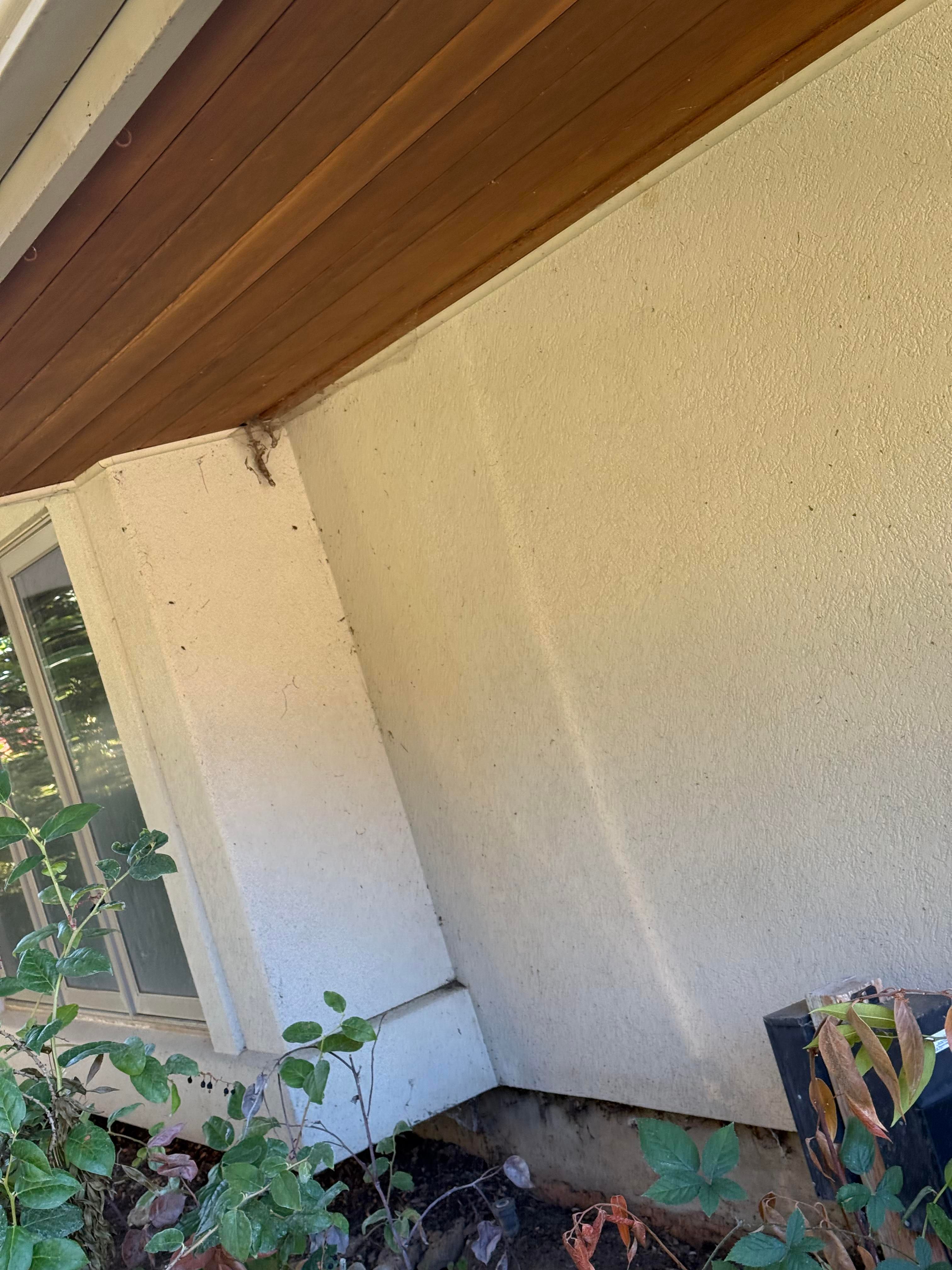 Stucco on the exterior of a residential property that needs soft washing services