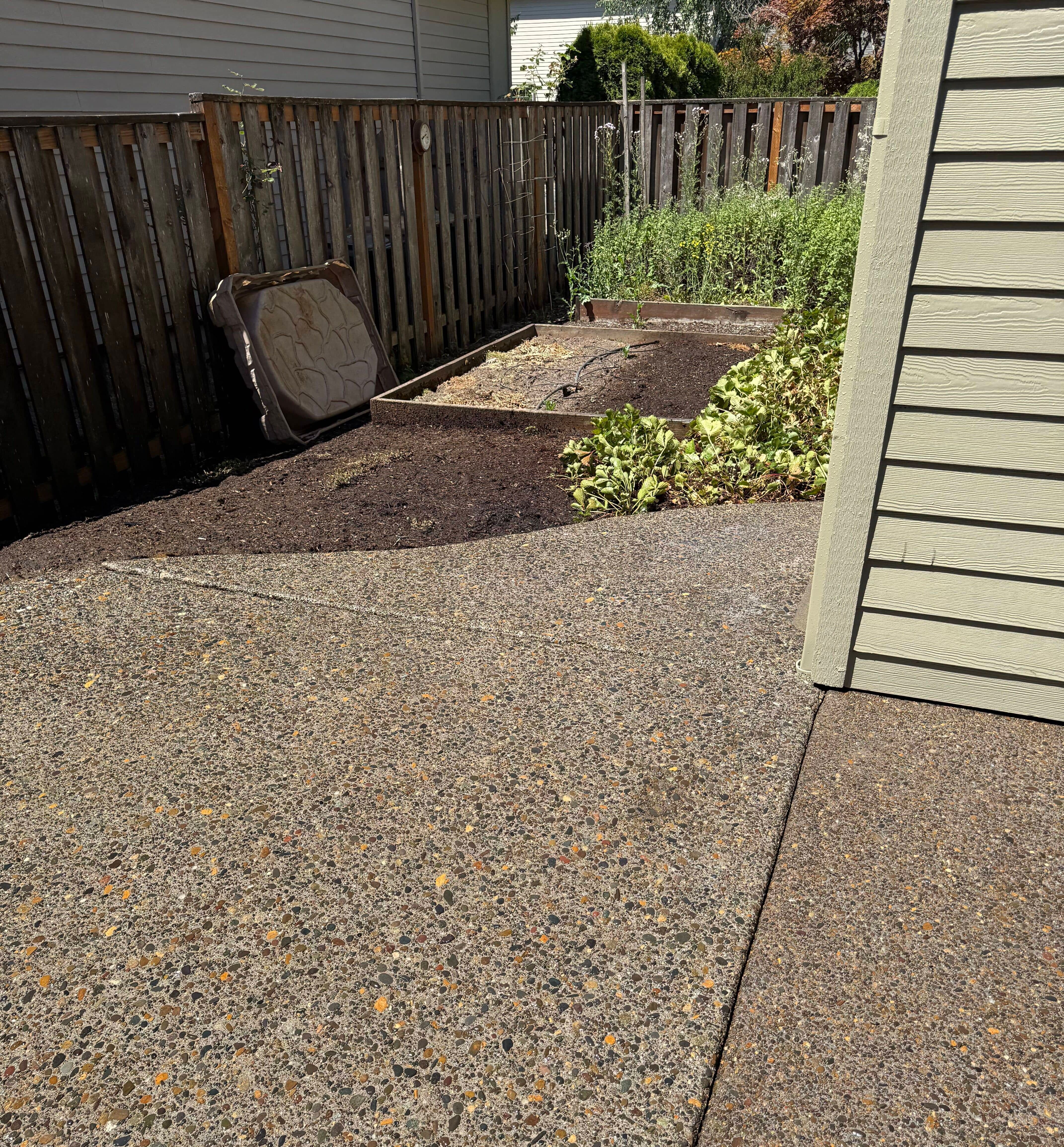 A post-work photo of cleaned concrete and removed plant debris