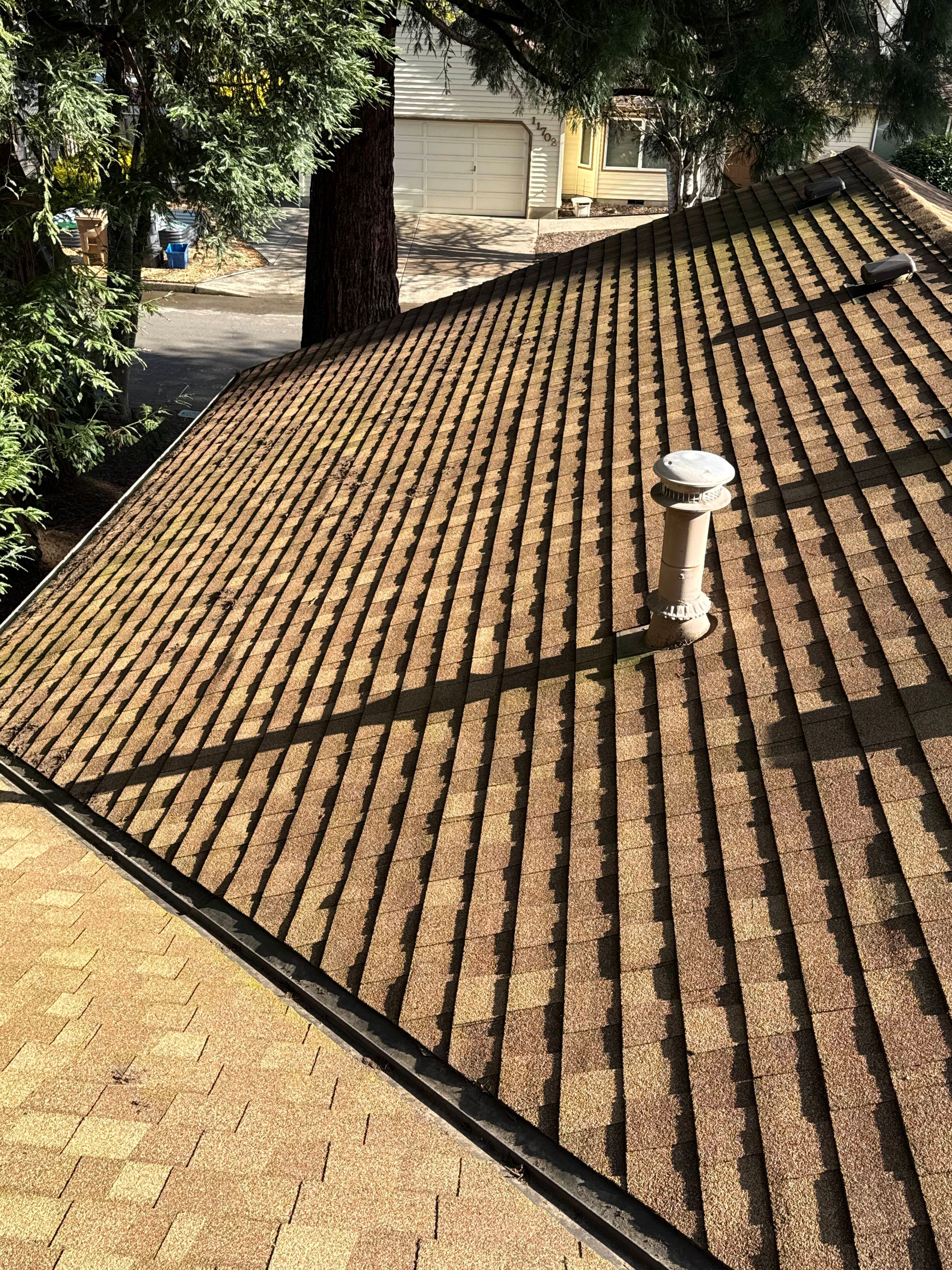 asphalt shingles shown on a residential rooftop in Hillsboro, Oregon