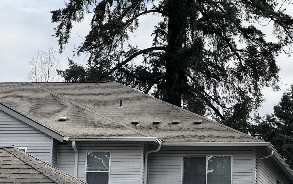 before roof cleaning Hillsboro.png