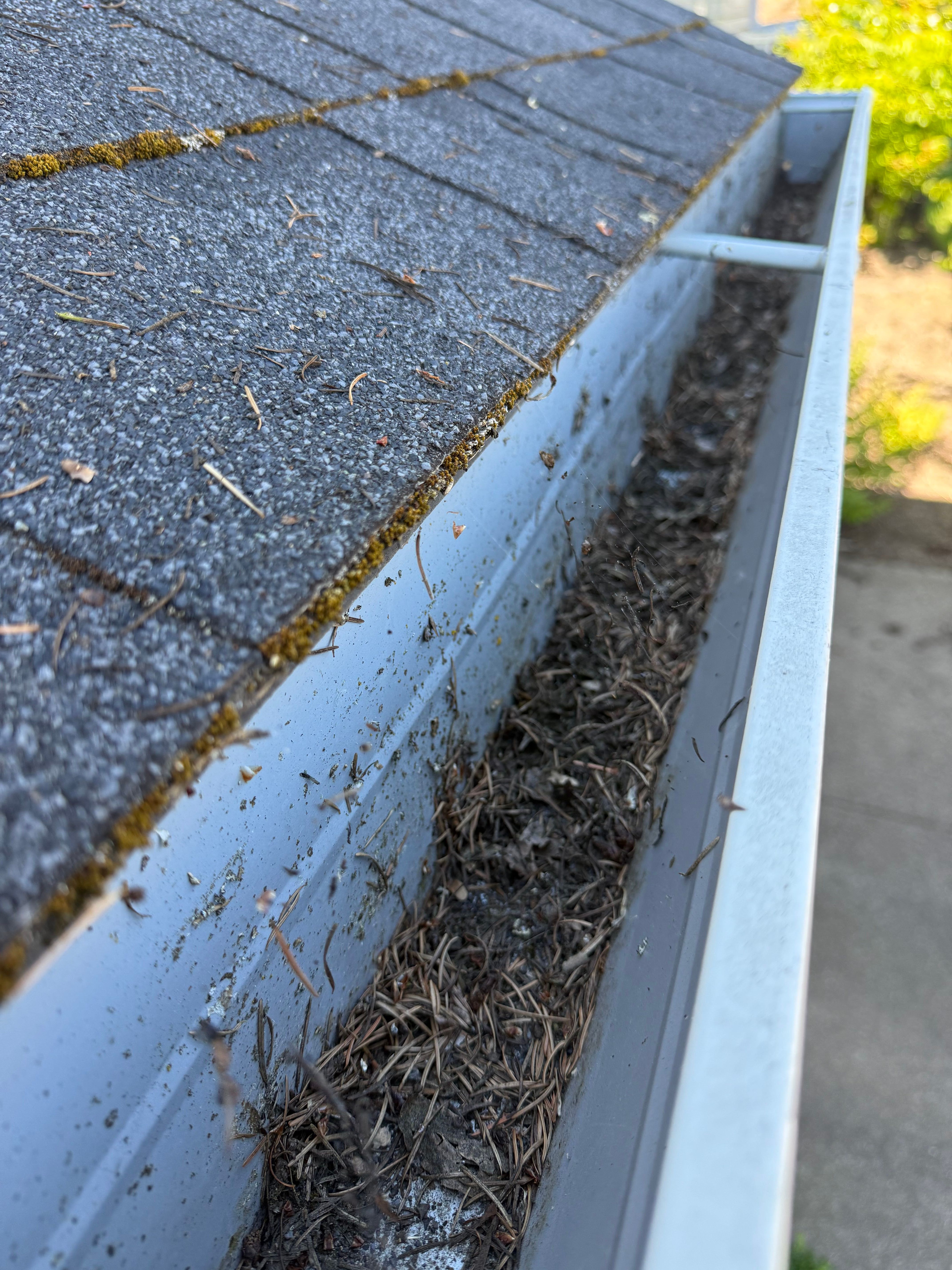 Close-up of a clogged gutter showing leaves and debris, illustrating the importance of gutter cleaning in Hillsboro