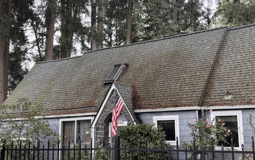 home before roof cleaning near me in Hillsboro Oregon