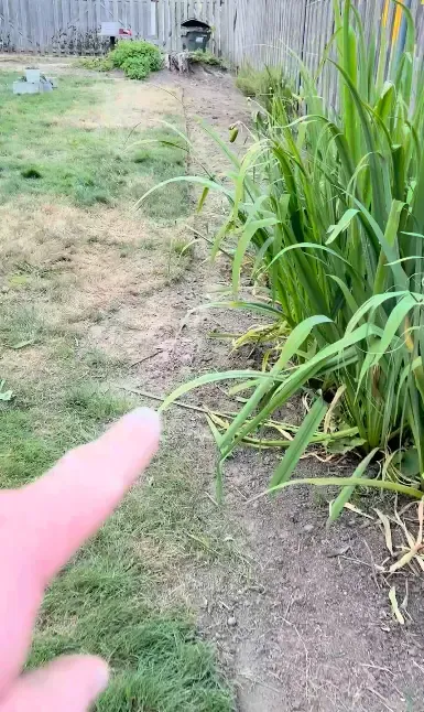 Worth It Exterior Cleaning owner Ben Wirth discussing a landscaping project in Washington County, OR.