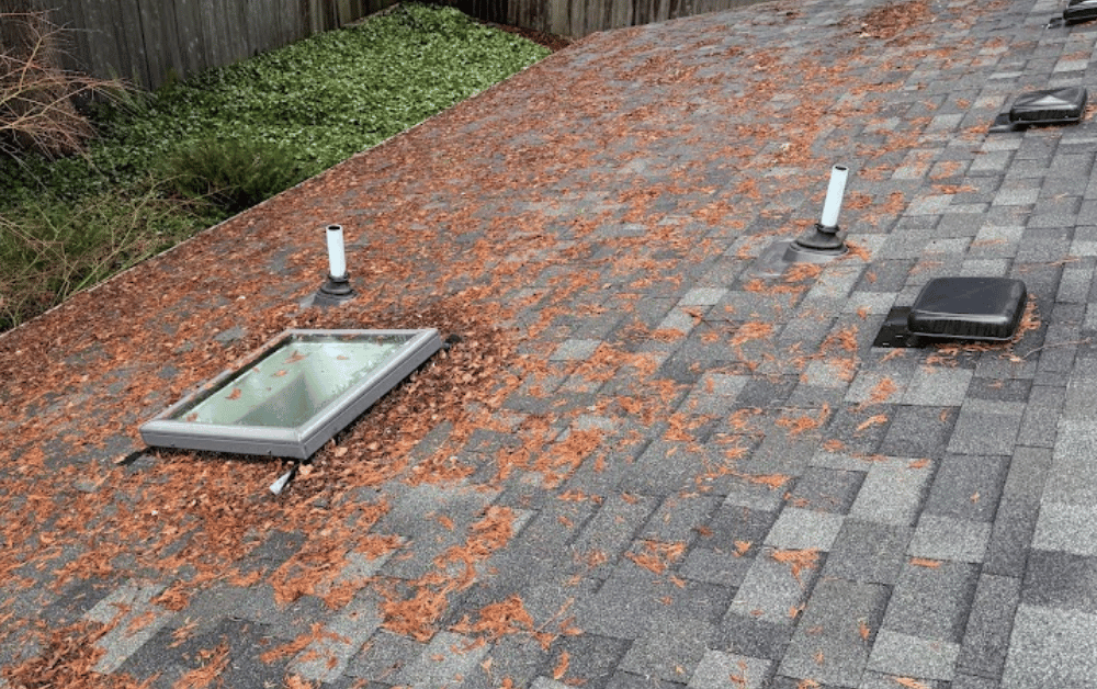 leaves on roof before cleaning.png