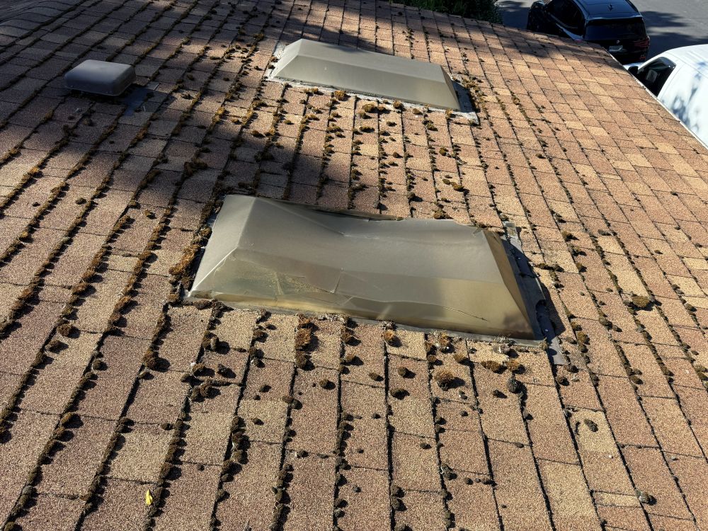 moss and algae on roof before washing in Hillsboro Oregon