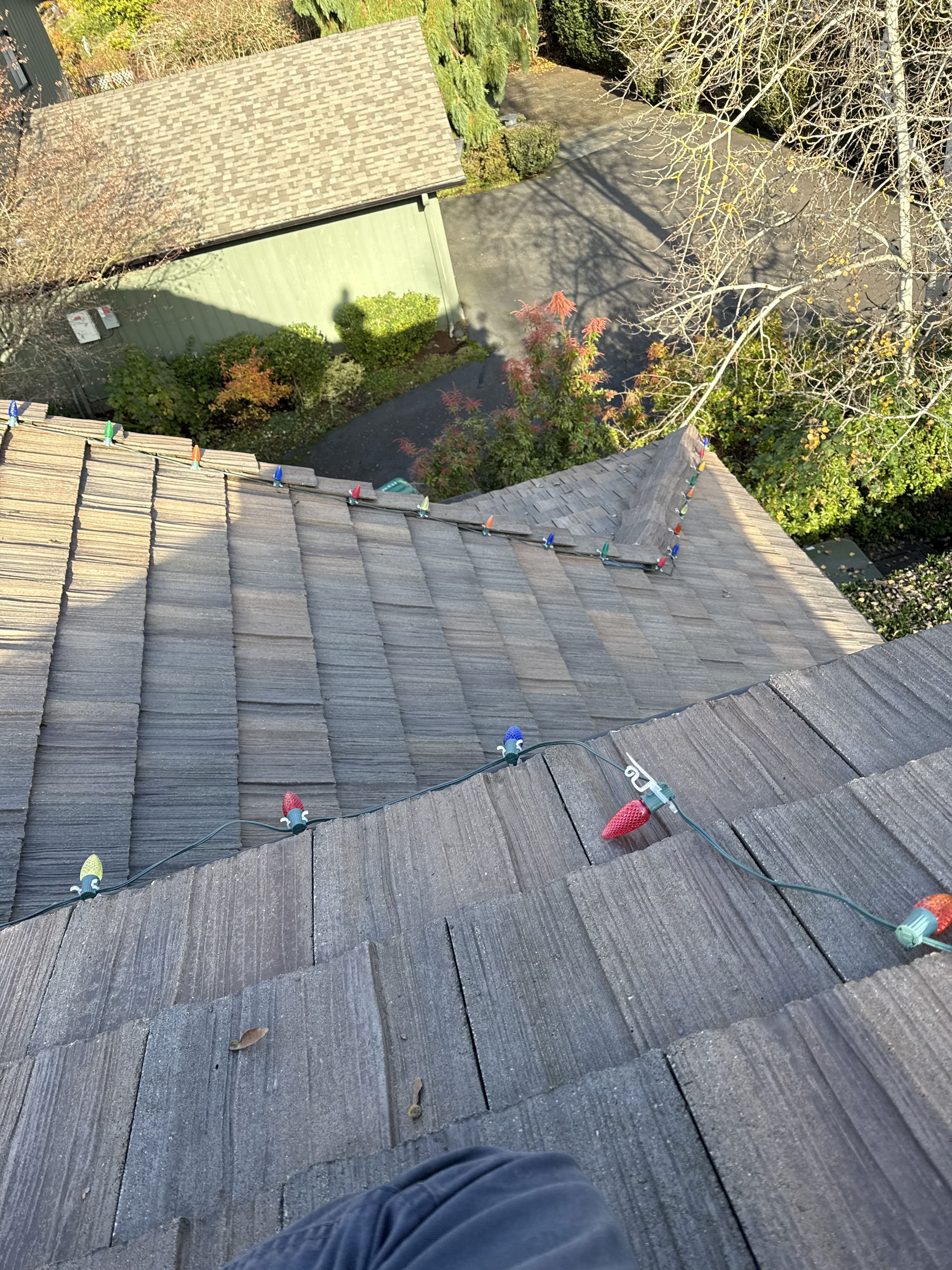 a clean roof with christmas lights freshly installed.