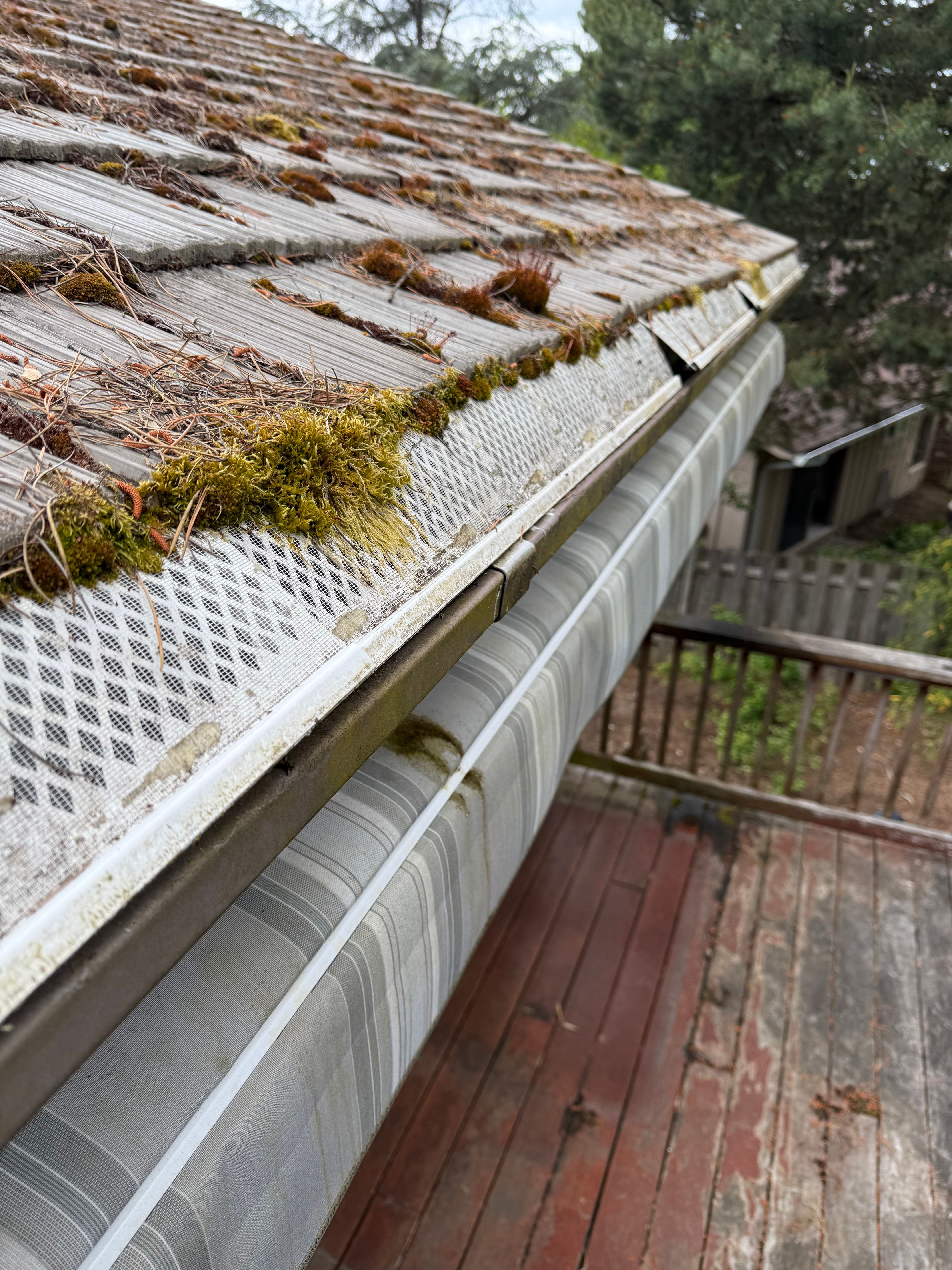 moss growing on the roof shingles of a home