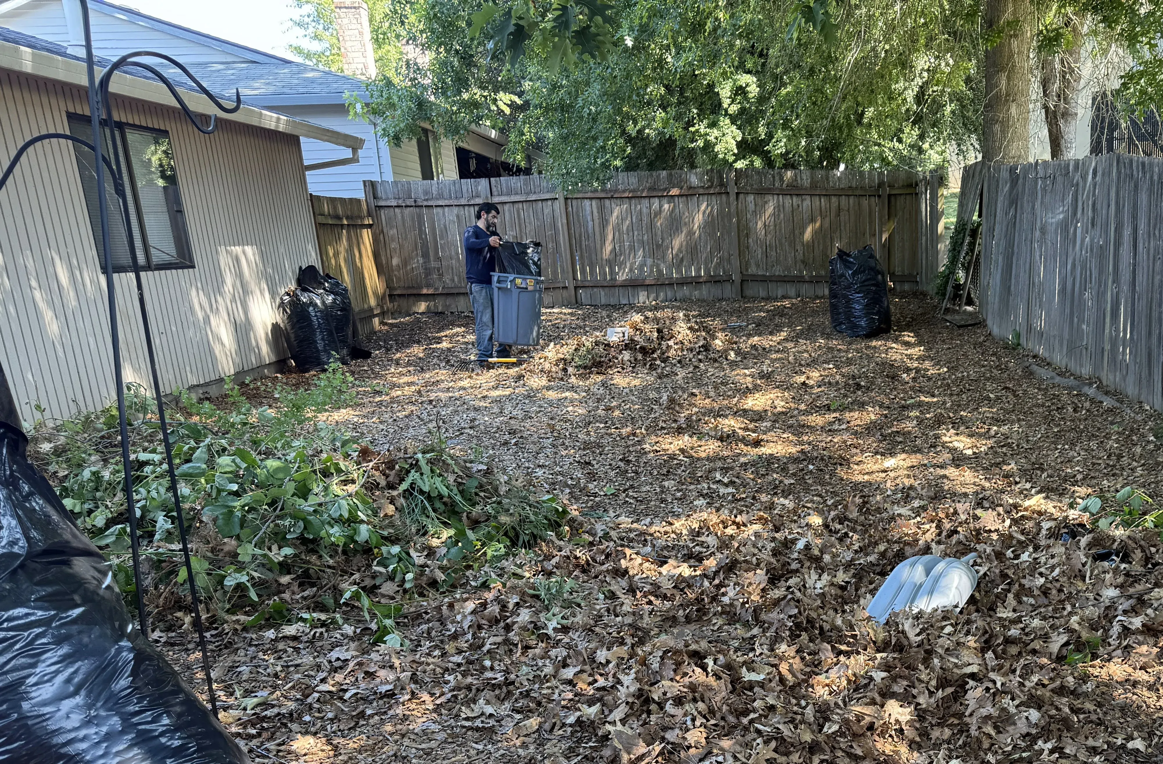 Seasonal Yard Cleanup