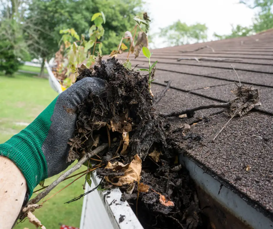 Gutter Cleaning 1