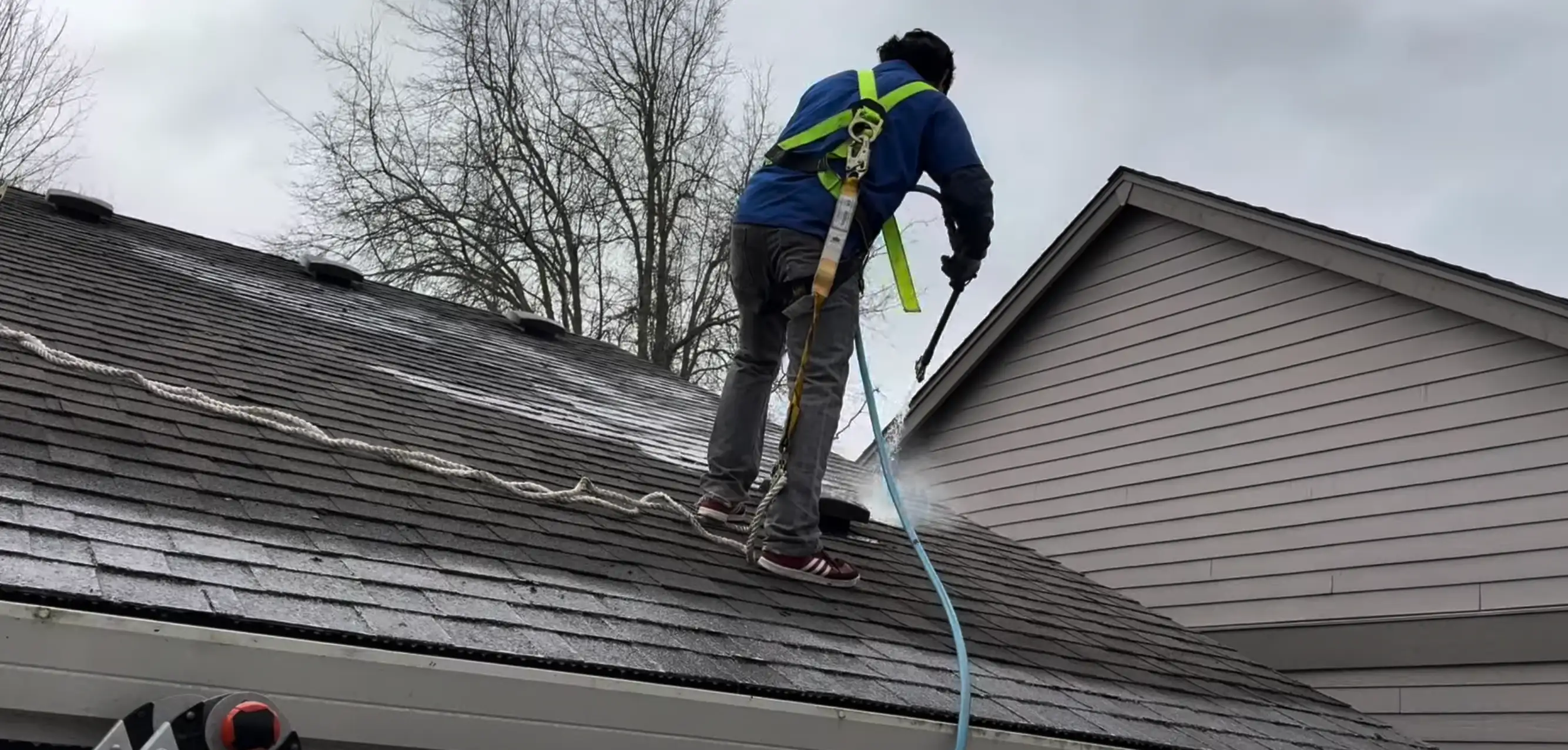 Roof Cleaning 2
